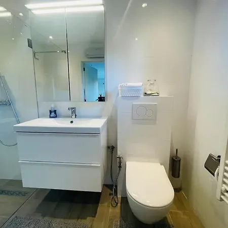 Prachtig Met Gratis Parkeren Vakantiehuis Maasmechelen