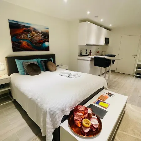 Prachtig Met Gratis Parkeren Vakantiehuis Maasmechelen